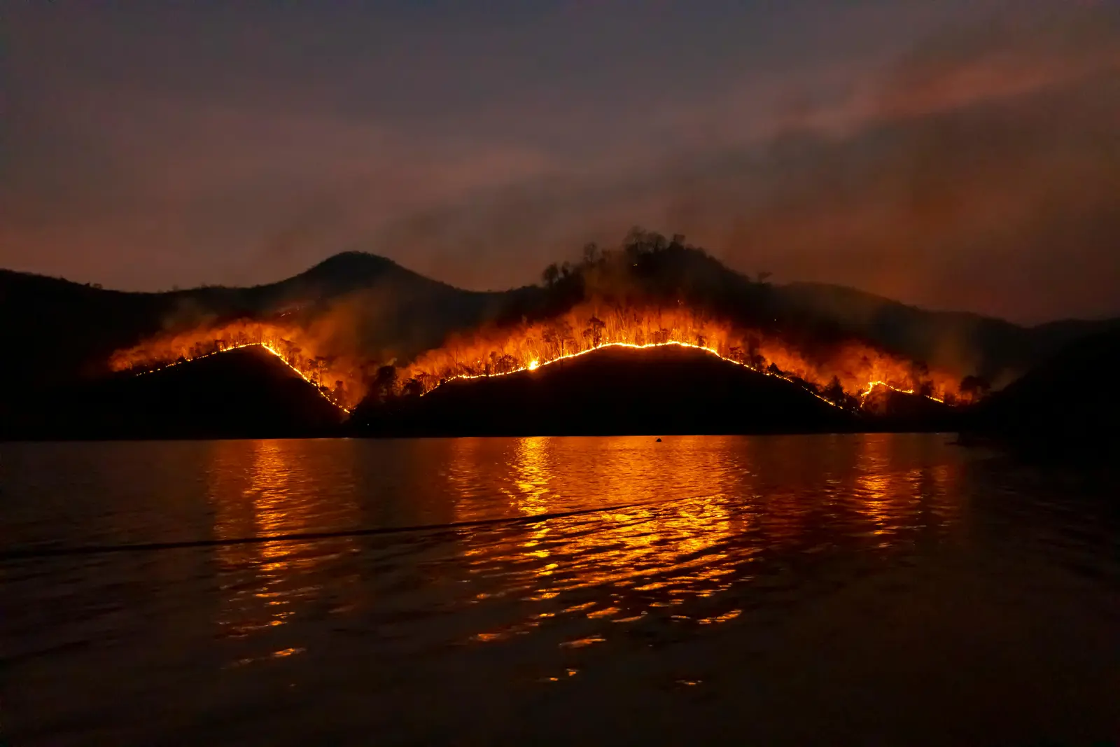Burn permit administration dashboard